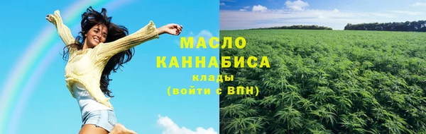 тгк Болотное
