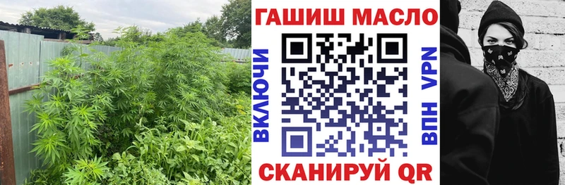 ТГК Wax Кириши